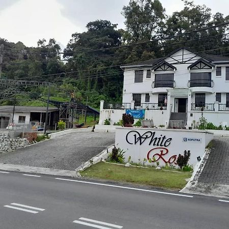 White Rose Cameron Highlands Dış mekan fotoğraf