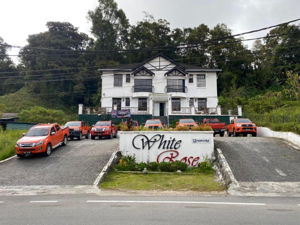 White Rose Cameron Highlands Dış mekan fotoğraf