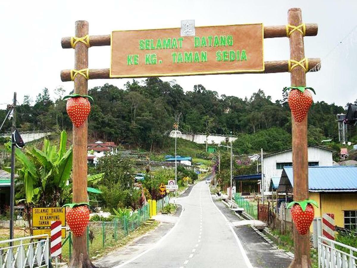 White Rose Cameron Highlands Dış mekan fotoğraf